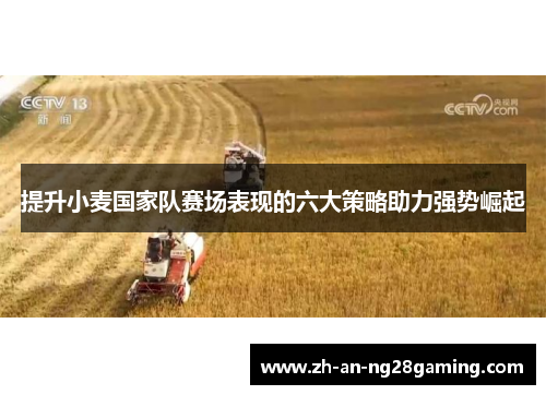 提升小麦国家队赛场表现的六大策略助力强势崛起