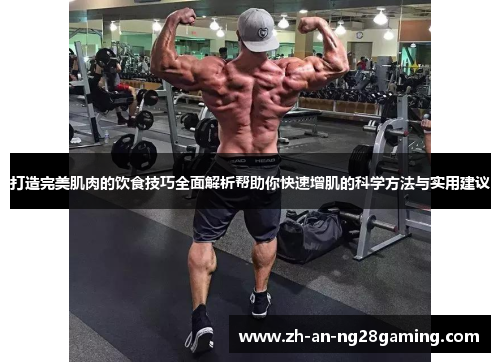 打造完美肌肉的饮食技巧全面解析帮助你快速增肌的科学方法与实用建议 打造完美肌肉的饮食技巧全面解析帮助你快速增肌的科学方法与实用建议