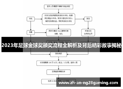 2023年足球金球奖颁奖流程全解析及背后精彩故事揭秘 2023年足球金球奖颁奖流程全解析及背后精彩故事揭秘