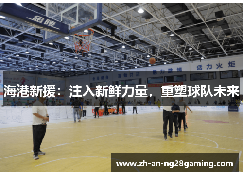 海港新援：注入新鲜力量，重塑球队未来