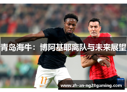青岛海牛:博阿基耶离队与未来展望 青岛海牛:博阿基耶离队与未来展望