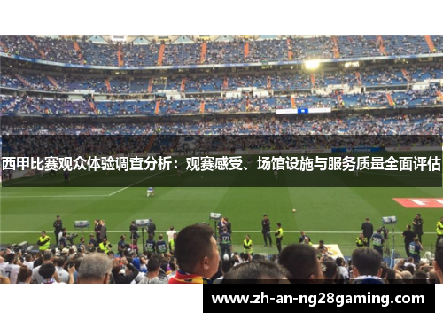 西甲比赛观众体验调查分析：观赛感受、场馆设施与服务质量全面评估