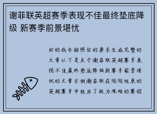 谢菲联英超赛季表现不佳最终垫底降级 新赛季前景堪忧